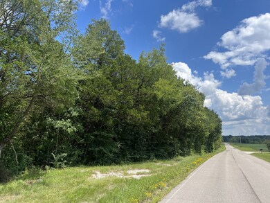 0 John Lunn Rd, Lewisburg, TN 37091 - photo 2