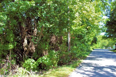 00 Cedar St, Central Lake, MI 49622 - photo 4