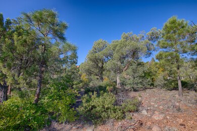 1701 S Gambel Oak Rd, Show Low, AZ 85901 - photo 2