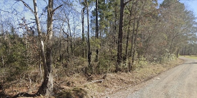 0 Dike Rd unit 25010257, Bonneau, SC 29431 - photo 5