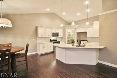 113 Dode, Downs, IL 61736 - photo 2