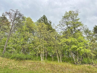 TBD Lot 1 Fairway Trail, Henrietta Township, MN 56470 - photo 2