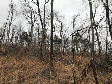 2 Alf Harris Rd, Prospect, TN 38477 - photo 5