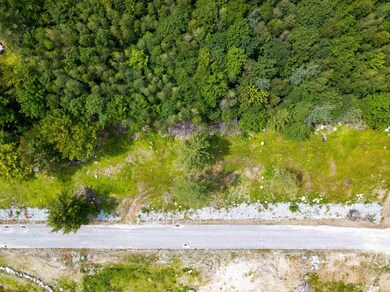 13 Skyline Way, Madison, NH 03849 - photo 3