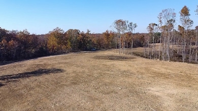 0 Fire Tower Rd, Centerville, TN 37033 - photo 2