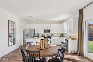 240 Artist Ave, Johnson City, TN 37615 - photo 7