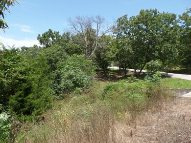 Tbd Irish Hills Blvd, Kimberling City, MO 65686 - photo 5