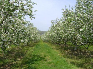 0 Water St unit 486436, Boyertown, PA 19512 - photo 4