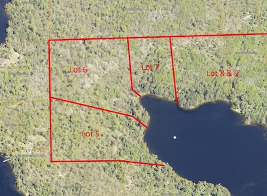 Lot 5 Wakemup Narrows N, Cook, MN 55771 - photo 3