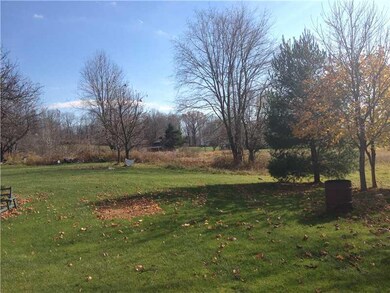 Yard/Garden. backyard