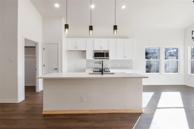 3014 Paluxy Trail, Granbury, TX 76048 - photo 4