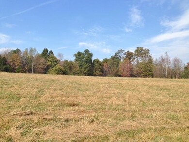 3770 Pollard Rd, Walling, TN 38587 - photo 7