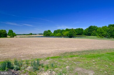 6542 Rock Hall Rd, Rock Hall, MD 21661 - photo 2