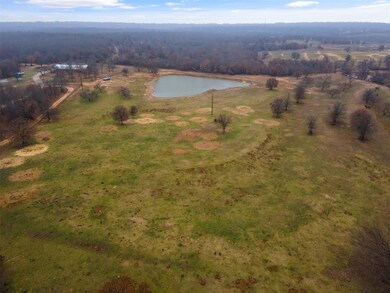 TBD Division Ln, Poolville, TX 76487 - photo 4