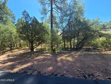 2511 E Pine Island Ln unit Lot  39, Payson, AZ 85541 - photo 3