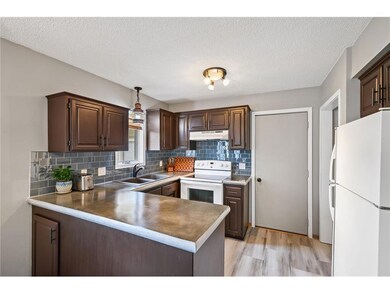 Updated Cabinets and Impressive Concrete Counters 