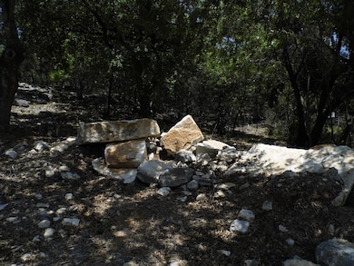 Deep wooded area provides privacy and sound buffer from RR12.