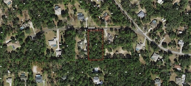 296 E Foster Ct, Lecanto, FL 34461 - photo 2