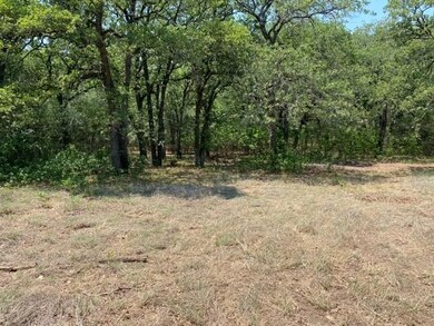 130 Bryon Dr, Weatherford, TX 76085 - photo 6