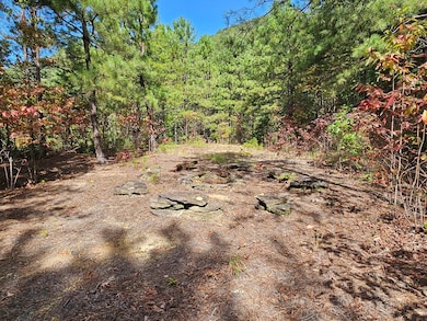 288 Deer Path Trail, Franklin, NC 28734 - photo 6