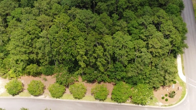 102 White Birch Ct, Aiken, SC 29803 - photo 5