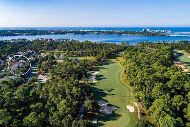 190910-wild-heron-006