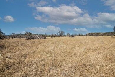 1 E Lower Crabapple Rd unit 1, Fredericksburg, TX 78624 - photo 5