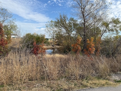 461 Lange Way, Rhome, TX 76078 - photo 3