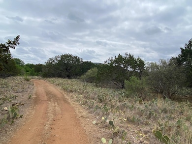 Lot 129 Cr 140, Burnet, TX 78611 - photo 6