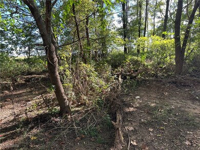 7320 Fenner Rd, Shelby, OH 44875 - photo 6