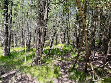 2 Seymour St, Onekama Township, MI 49675 - photo 7