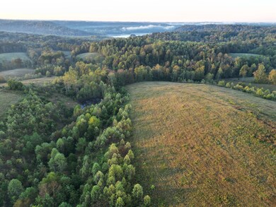 0 Casey Creek Rd unit Knifley KY 42753, Knifley, KY 42753 - photo 3