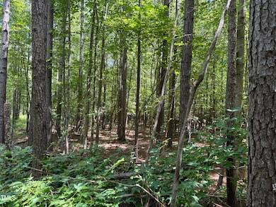 Lot 2 Stonehouse Ct, Franklinton, NC 27525 - photo 6