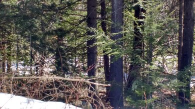 0 Spur Rd unit 1441694, Cornish, ME 04020 - photo 4