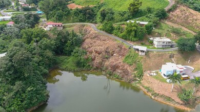 0 Carr 164, Naranjito, PR 00719 - photo 3