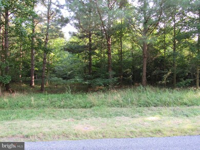 0 Hardscrabble Rd unit DESU2004450, Georgetown, DE 19947 - photo 6