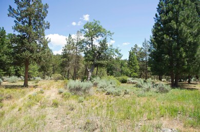 Lot01