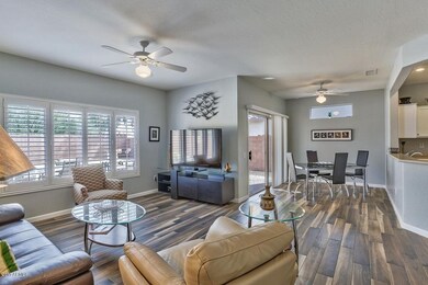 Bright Sunlit Great Room