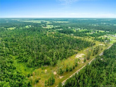 0 Duke Hollingsworth Rd Tract 3, Ragley, LA 70657 - photo 6