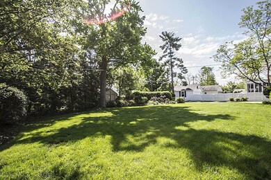 Rear Yard_2