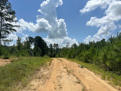 TBD Hwy 570 River Road N Shell Oil Rd, Summit, MS 39666 - photo 5