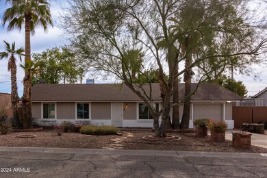 Desert Cactus Dr (2).jpg-FULL