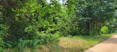 0000 Old Sadler Rd, Sadler, TX 76264 - photo 4