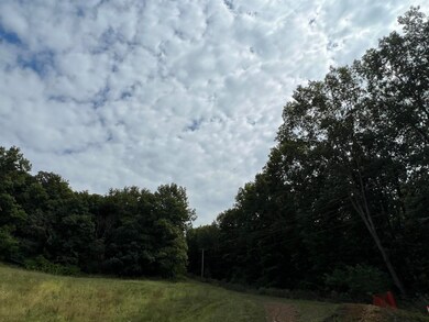 8154 Elda Ct, Dubuque, IA 52003 - photo 7