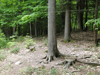 207 S Bridgton Rd, Bridgton, ME 04009 - photo 4