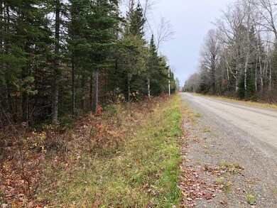 Looking down Drake Rd