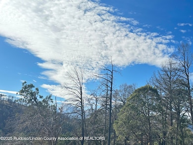 297 Lake Shore Dr, Alto, NM 88312 - photo 4