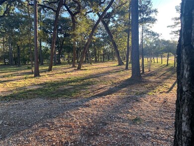 24102 Pinewood Valley Dr, Hockley, TX 77447 - photo 3