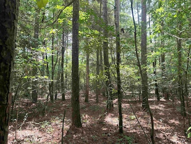 000 Nevada 17 Rd, Rosston, AR 71858 - photo 2