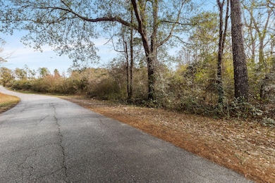 0 Phillips Rd, Sumrall, MS 39482 - photo 4